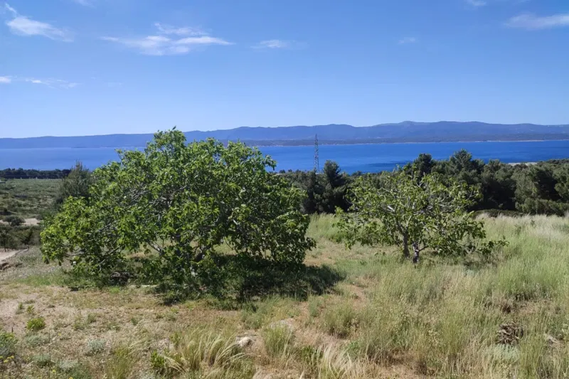 Pozemok Brač – 2