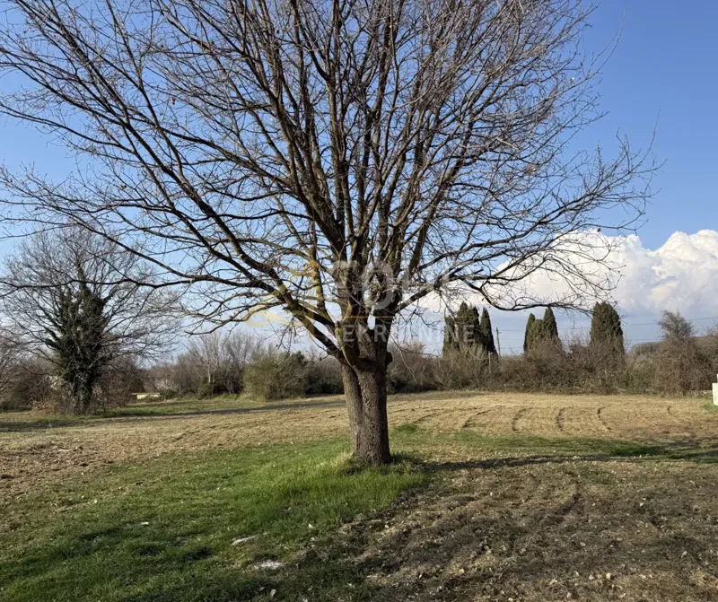 Földrajzi terület Šišan, Ližnjan, 674m2 – 2
