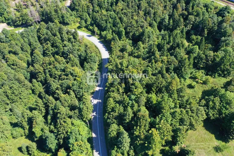 Lokve, 3.072m2 građevinskog zemljišta