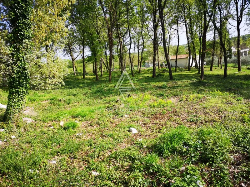 Istria, Muntrilj: Ampio terreno con privacy