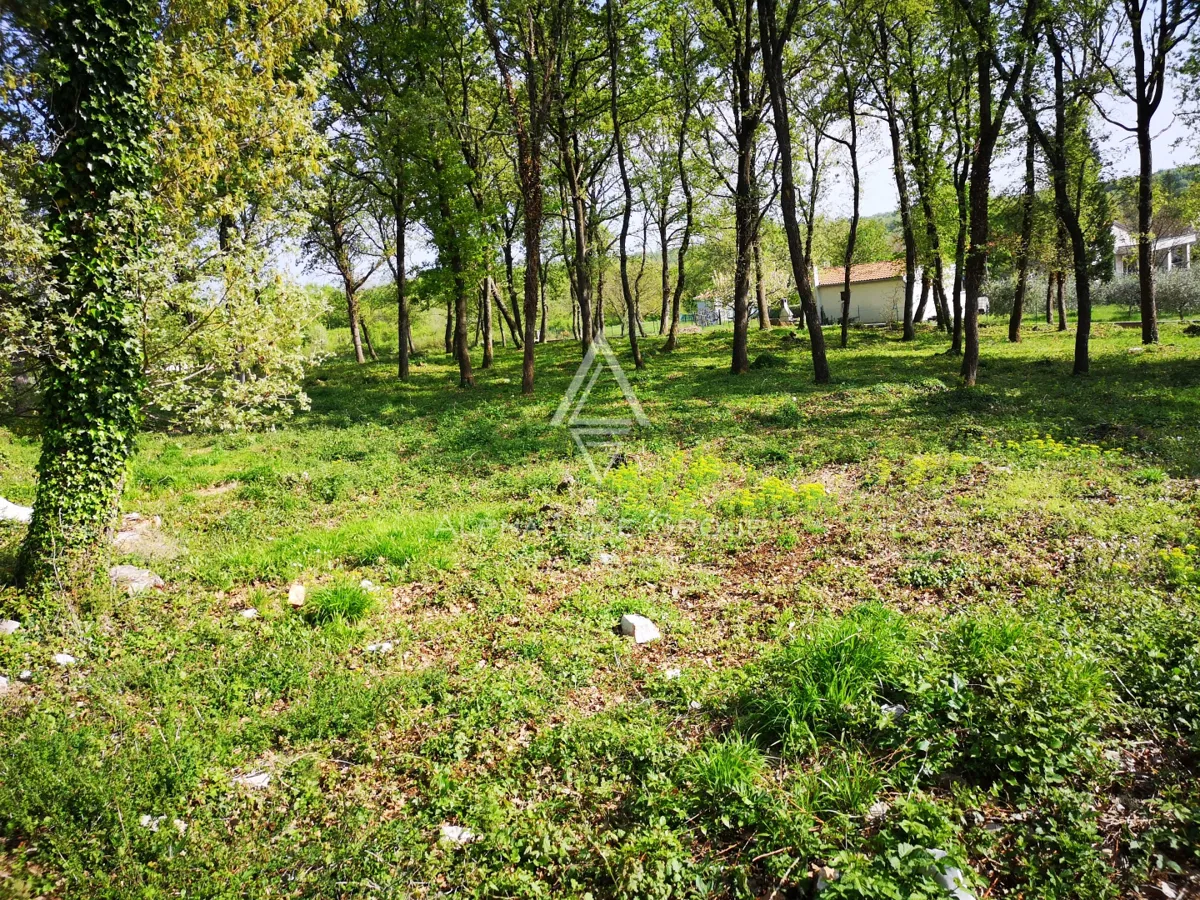 Istria, Muntrilj: Ampio terreno con privacy