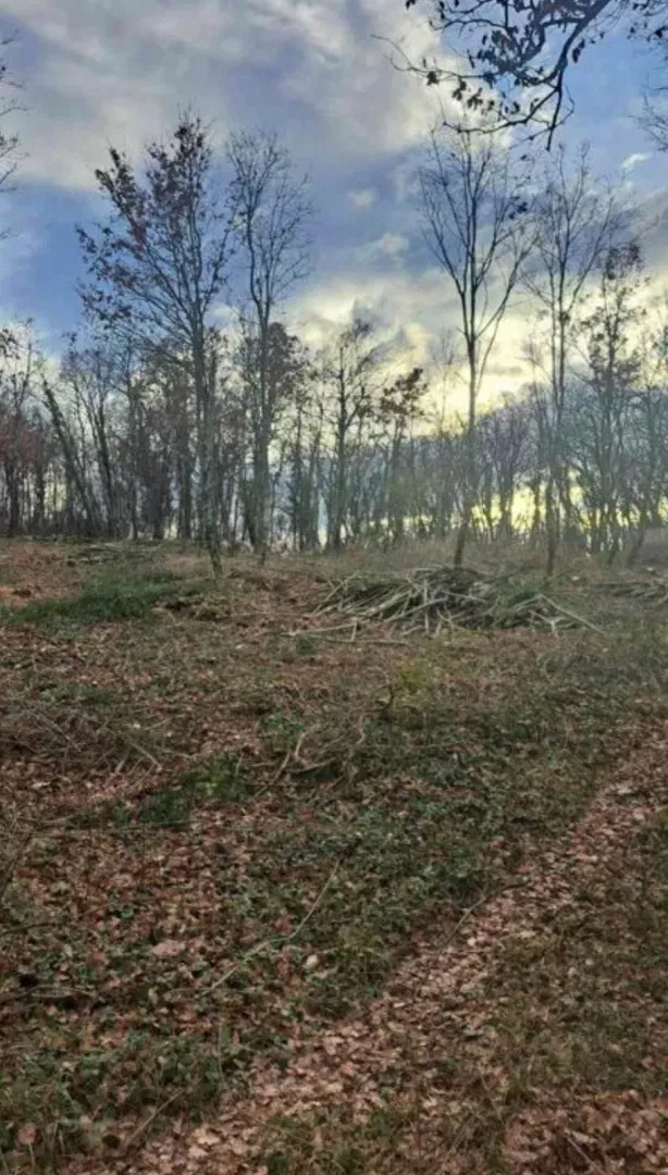KRINGA, GRAĐEVINSKA PRACELA U MIRNOM OKRUŽENJU,PRILIKA!