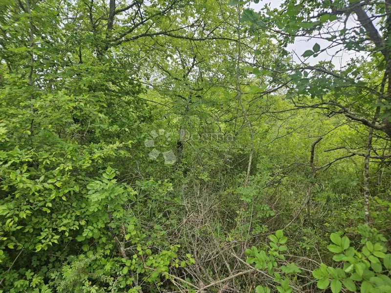 Mezőgazdasági terület Omišalj, 1.213m2 – 3