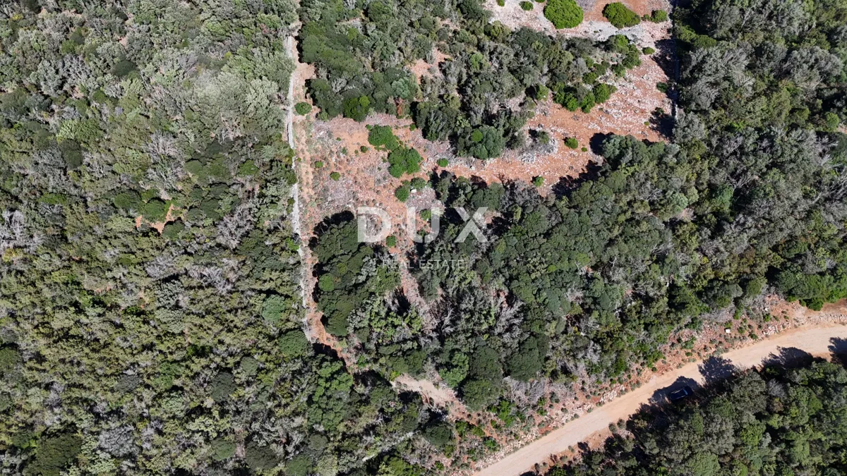 CRES SZIGETE, PUNTA KRIŽA - Tágas mezőgazdasági terület 58500 m2, közel a tengerhez, bekötőúttal