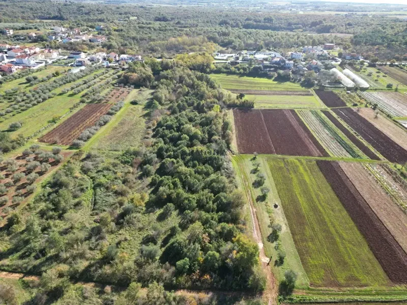Terreno agricolo Umag – 2