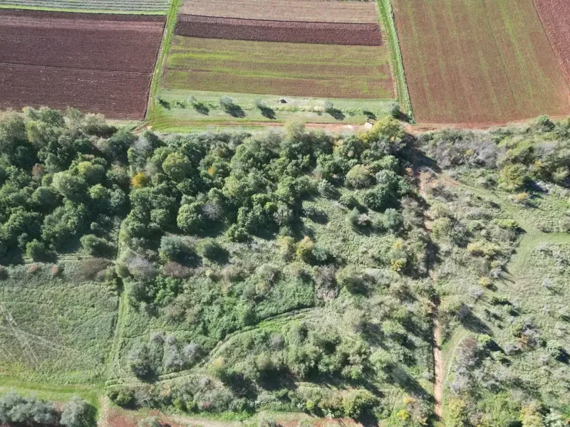 Terreno agricolo Umag – 3