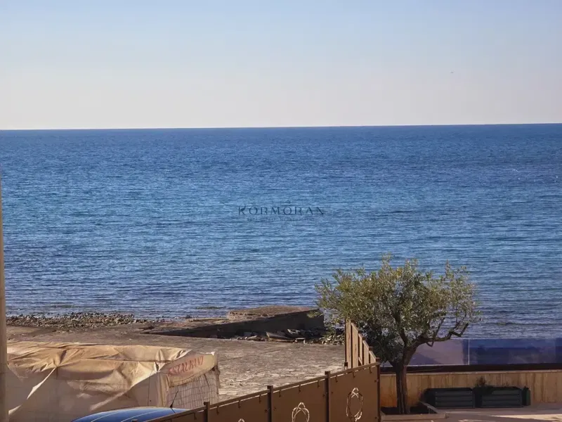 UMAG – 3