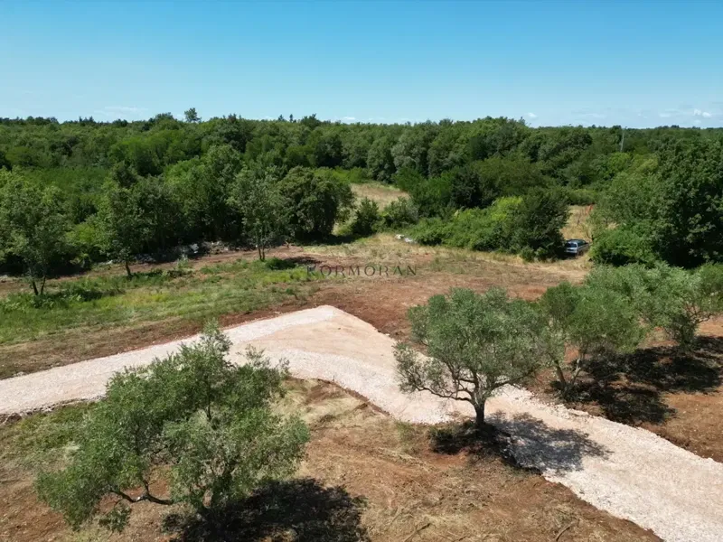 Prodaja, Zemljište, Građevinsko, Istarska županija, Brtonigla