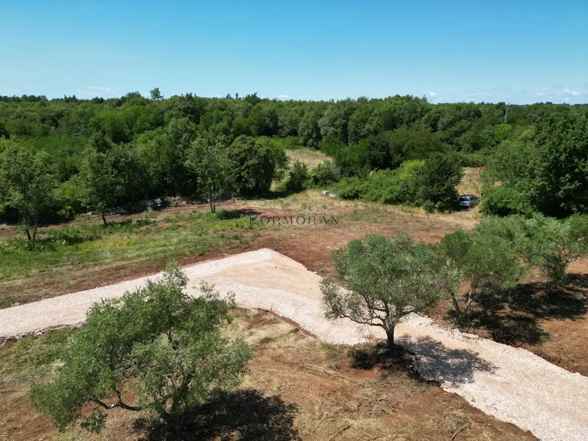 Prodaja, Zemljište, Građevinsko, Istarska županija, Brtonigla
