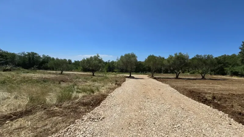 Prodaja, Zemljište, Građevinsko, Istarska županija, Brtonigla
