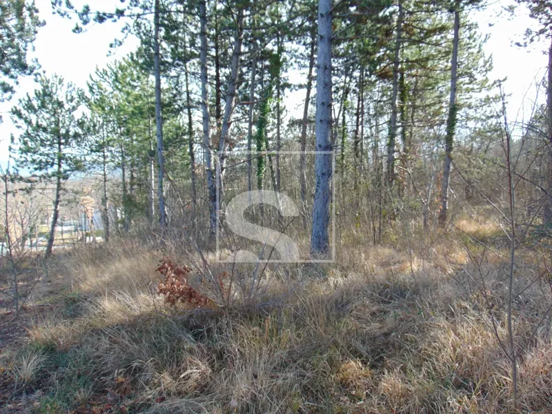 Ackerland Orič, Pićan, 21.359m2