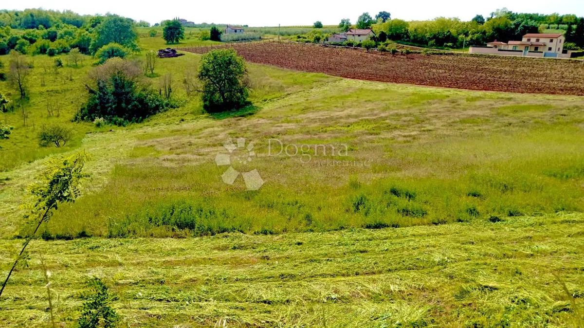 Építési telek Vižinada, 10.090m2