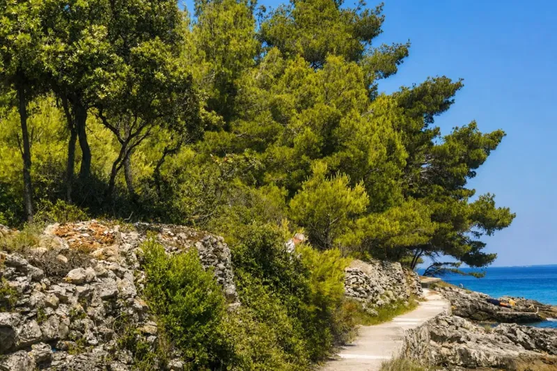Building Plot in the First Row to the Sea with Great Potential – 2