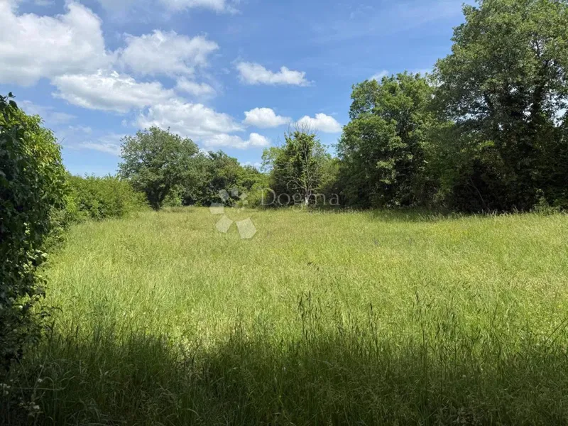 Terreno agricolo Vodnjan, 1.054m2 – 3