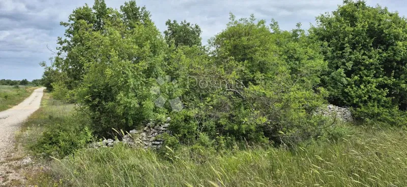 Ziemia rolna Maružini, Kanfanar, 4.700m2 – 2