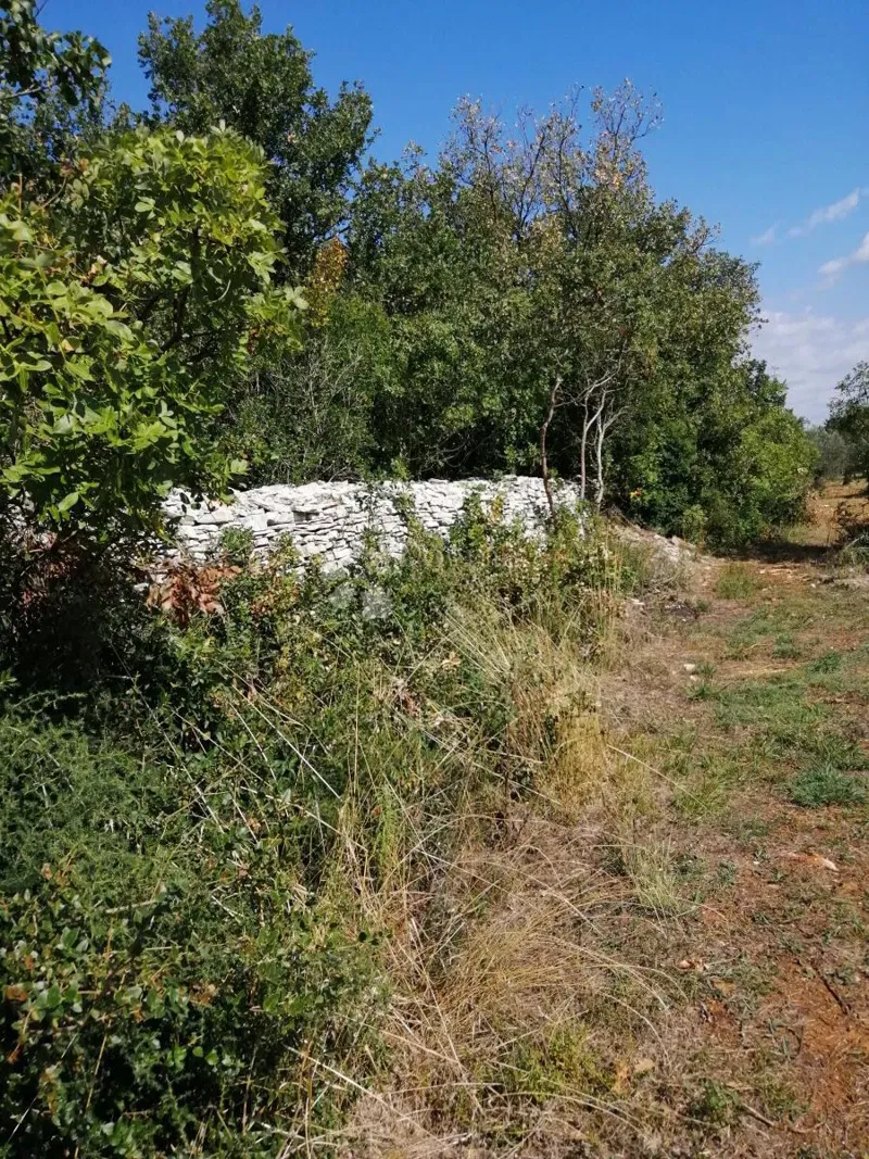 Terreno agricolo Peroj, Vodnjan, 788m2 – 3