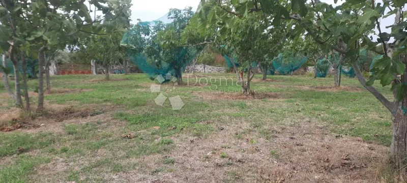 Építési telek Bratulići, Marčana, 1.200m2 – 2