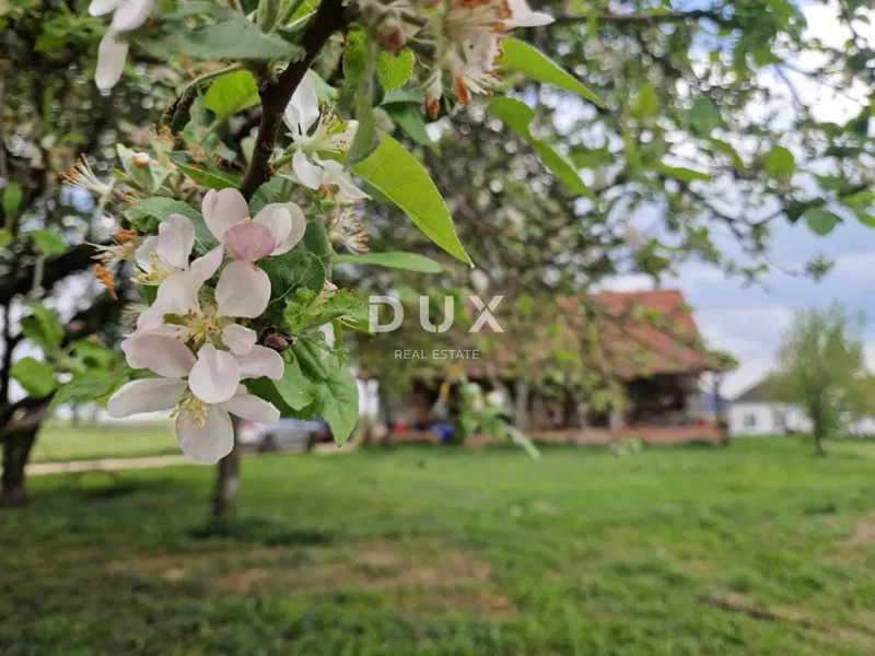 ZAGABRIA DINTORNI (GRADEC) – Azienda agricola di erbe con potenziale turistico su oltre 11 ha – 3