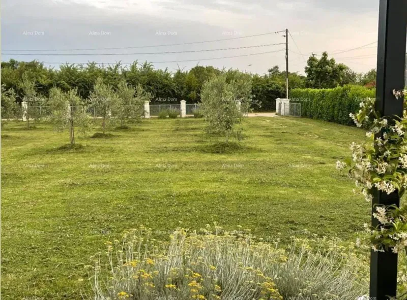 COMPLEX: HOUSE + CONSTRUCTION LAND + OLIVE GROVE – 3