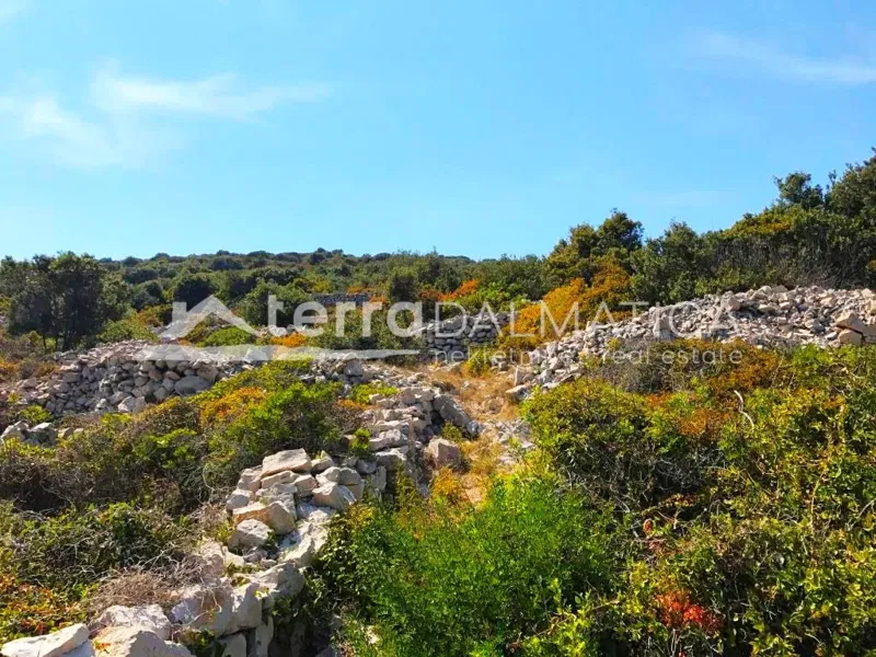 Agricultural land, Kaprije - building possibility – 3
