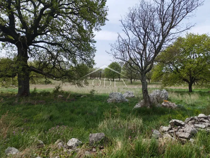 Terreno Labin – 2
