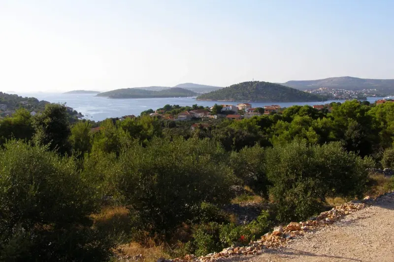 Agricultural land near the sea – 2