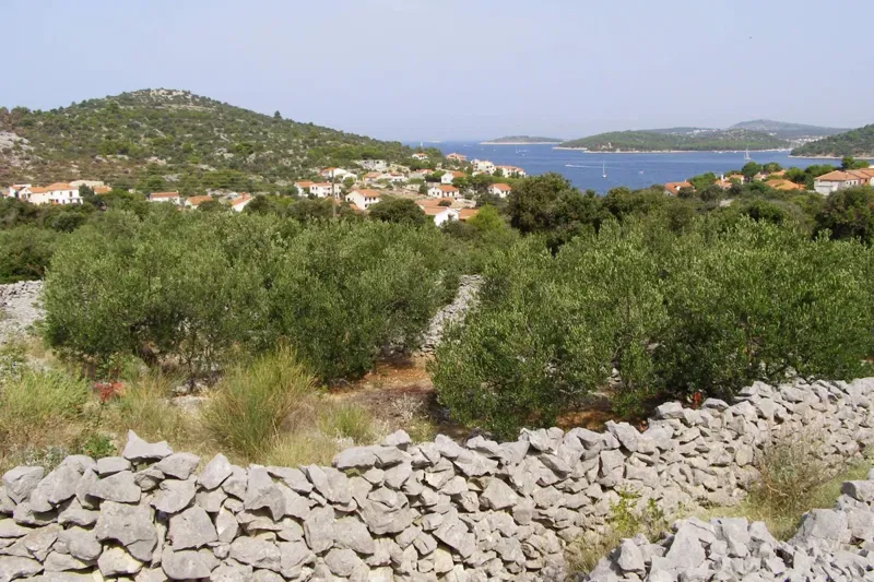 Agricultural land near the sea – 3