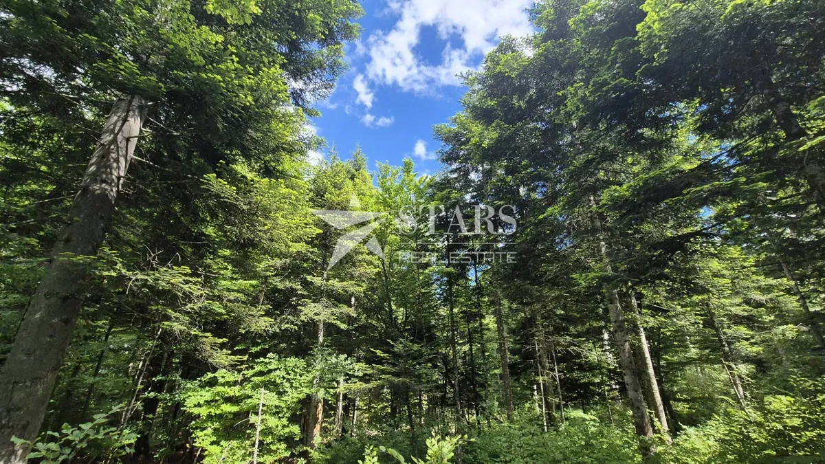 Gorski Kotar, Lukovdol – Wald mit der Möglichkeit zum Bau eines forstwirtschaftlichen Objekts
