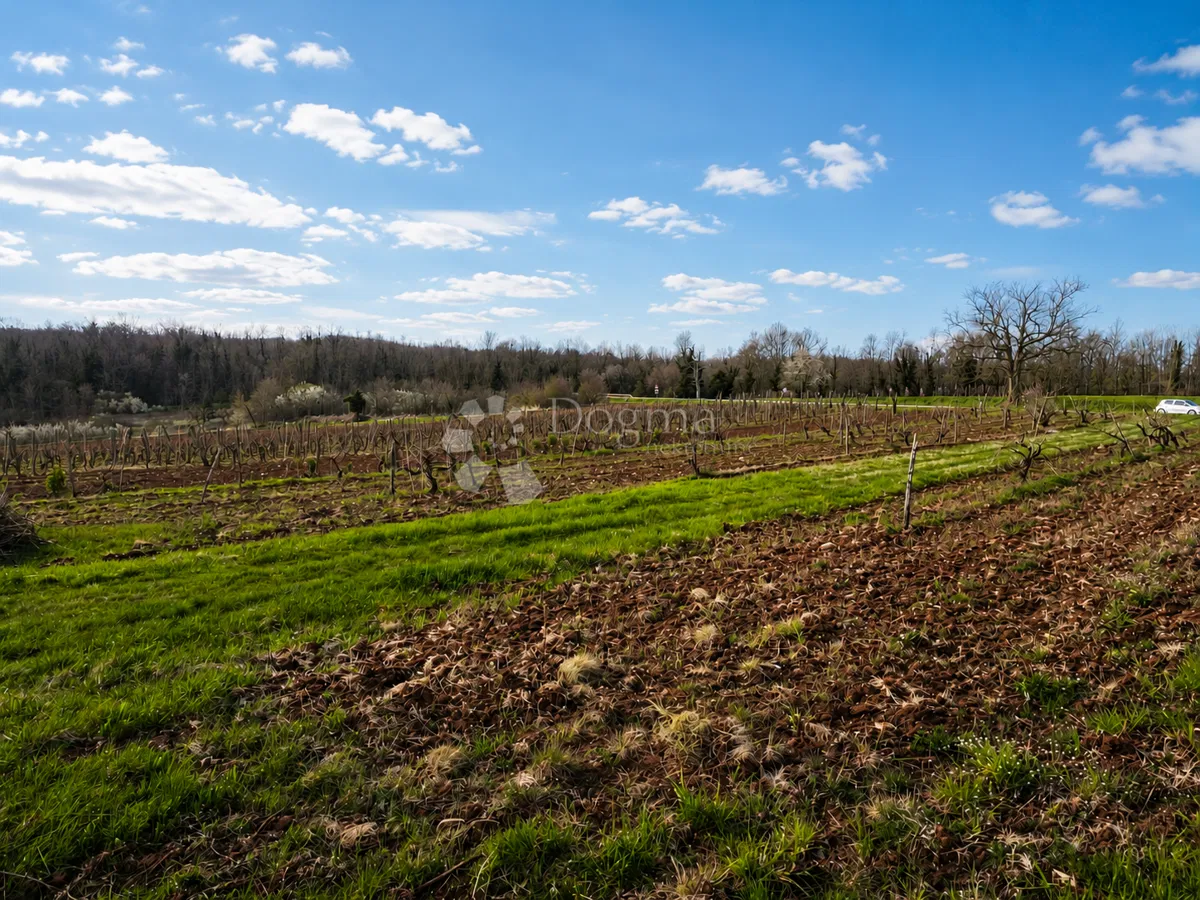 Земля под застройку Jadruhi, Vižinada, 4.768m2