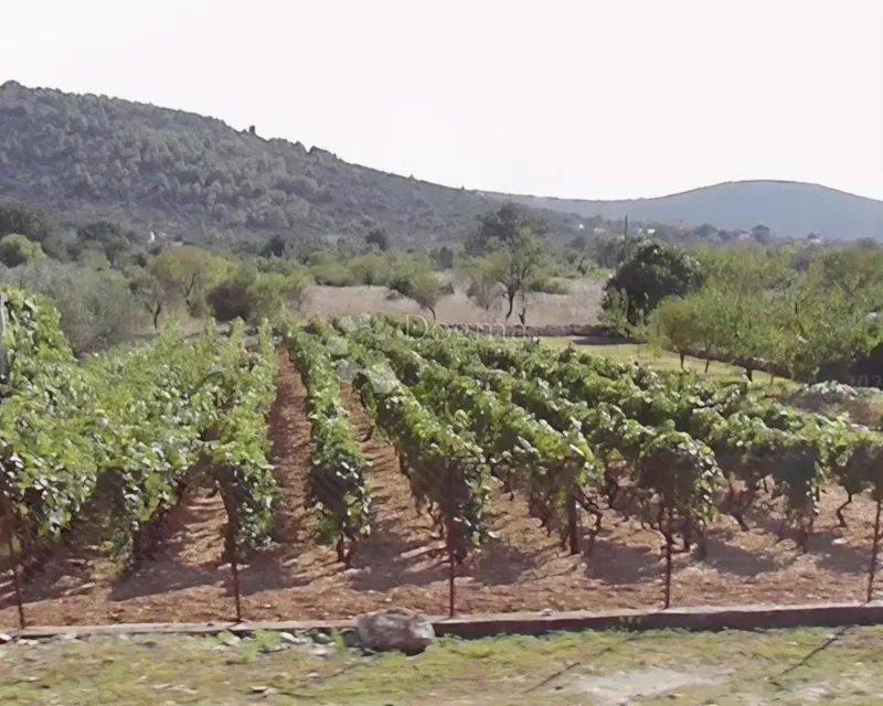 Építési telek Gustirna, Marina, 1.633m2 – 2