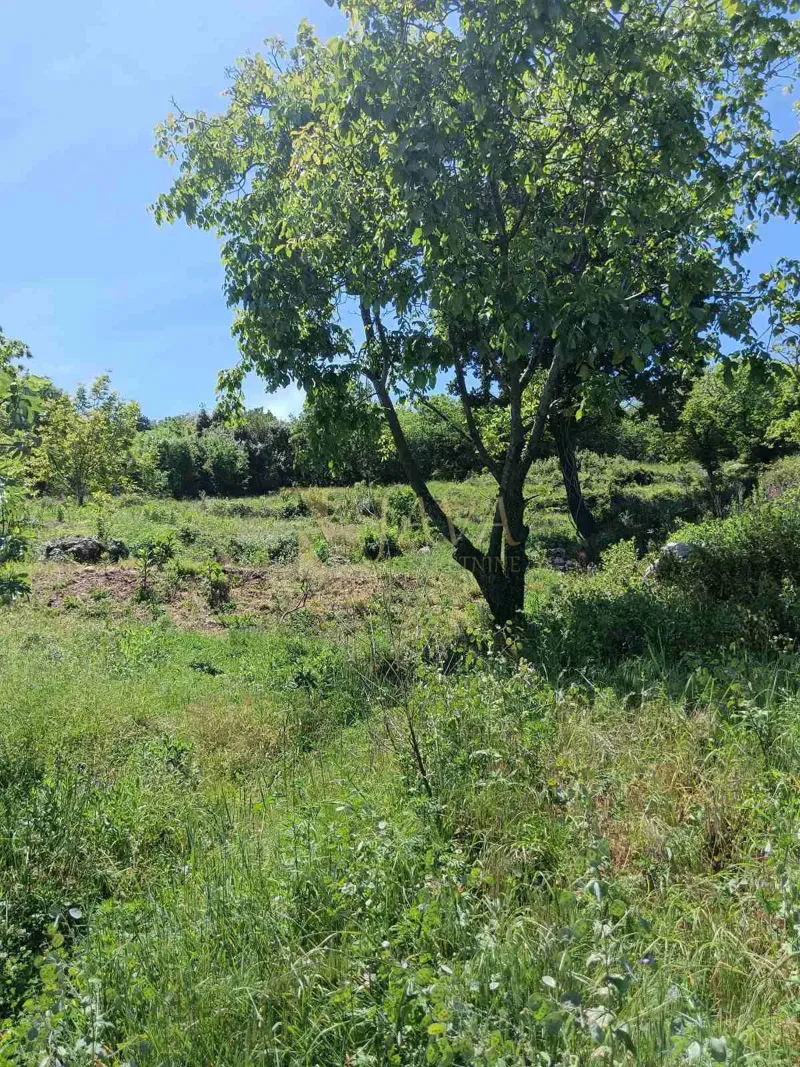 Mihotići, Opatija — terreno 982 m², vista mare – 2
