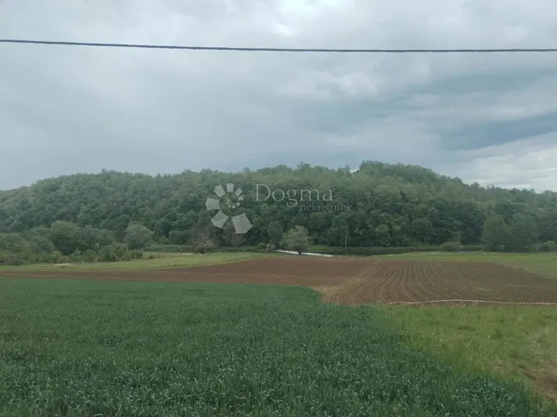 Agrarland Perjasica, Barilovići, 4.794m2