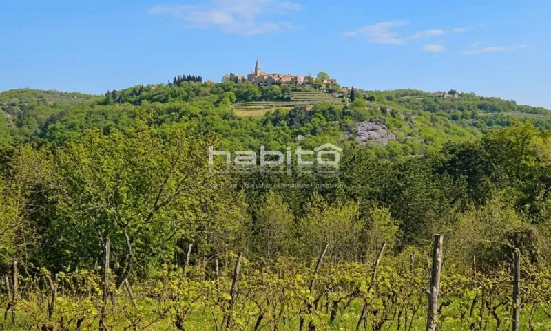 Grožnjan Umgebung – GELEGENHEIT! Baugrundstück mit Blick auf Grožnjan, Motovun und Weinberge