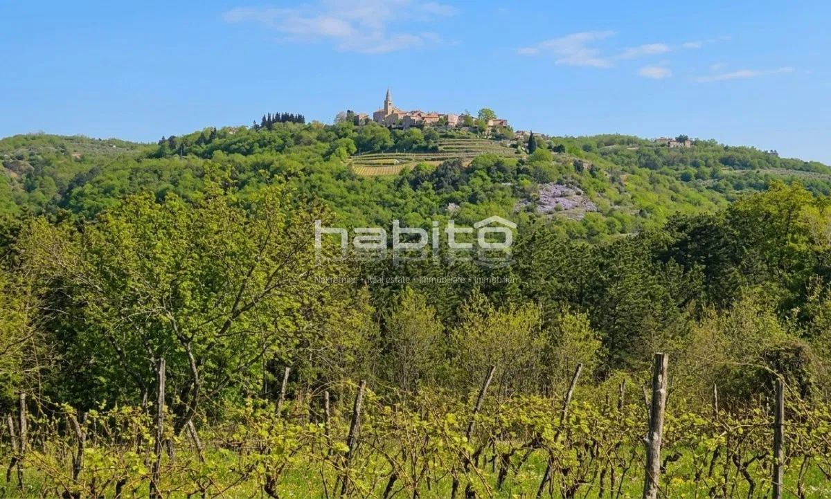 Grožnjan Umgebung – GELEGENHEIT! Baugrundstück mit Blick auf Grožnjan, Motovun und Weinberge