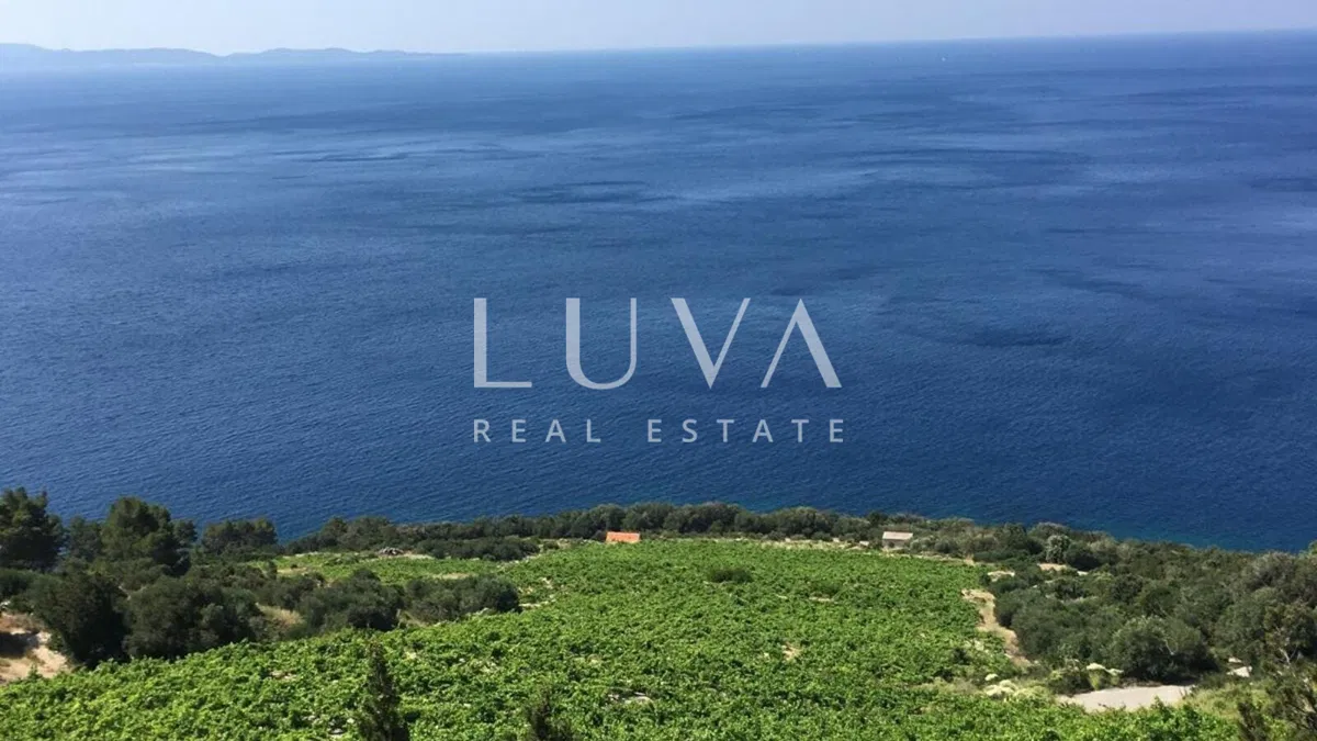 Pelješac, Potomje, zemljište 50.000 m2 s vinogradom na prodaju
