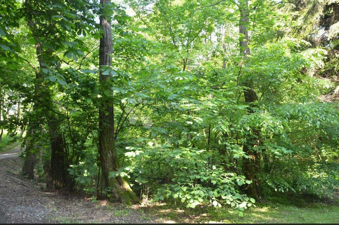 Zemědělská půda Perjasica, Barilovići, 4.683m2