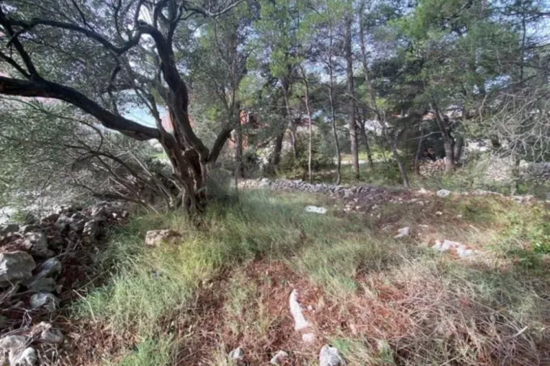 Building land near the sea – 3