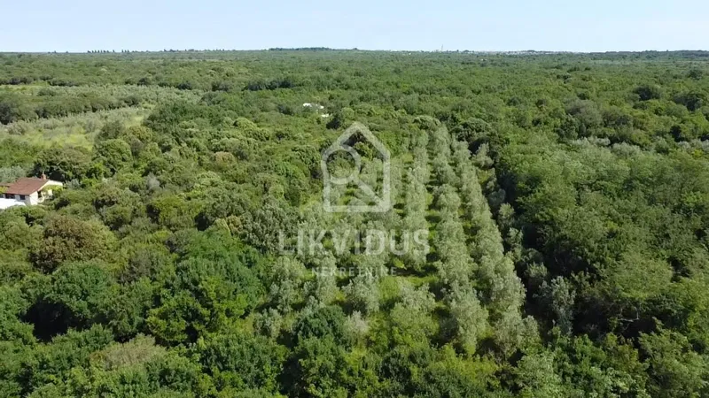 Grundstück Fažana, 4.930m2