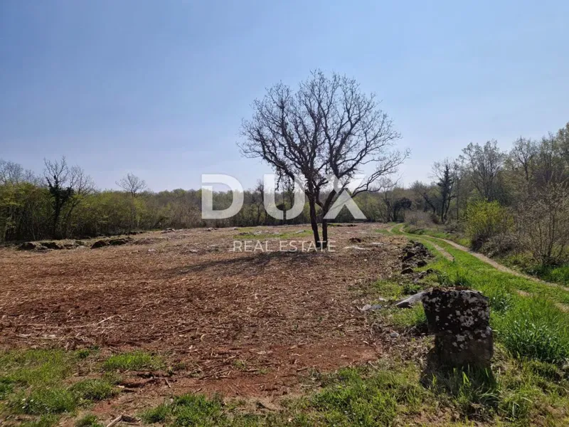 ISTRIA, POREČ - L'ultimo complesso di terreni nella zona di costruzione – 2