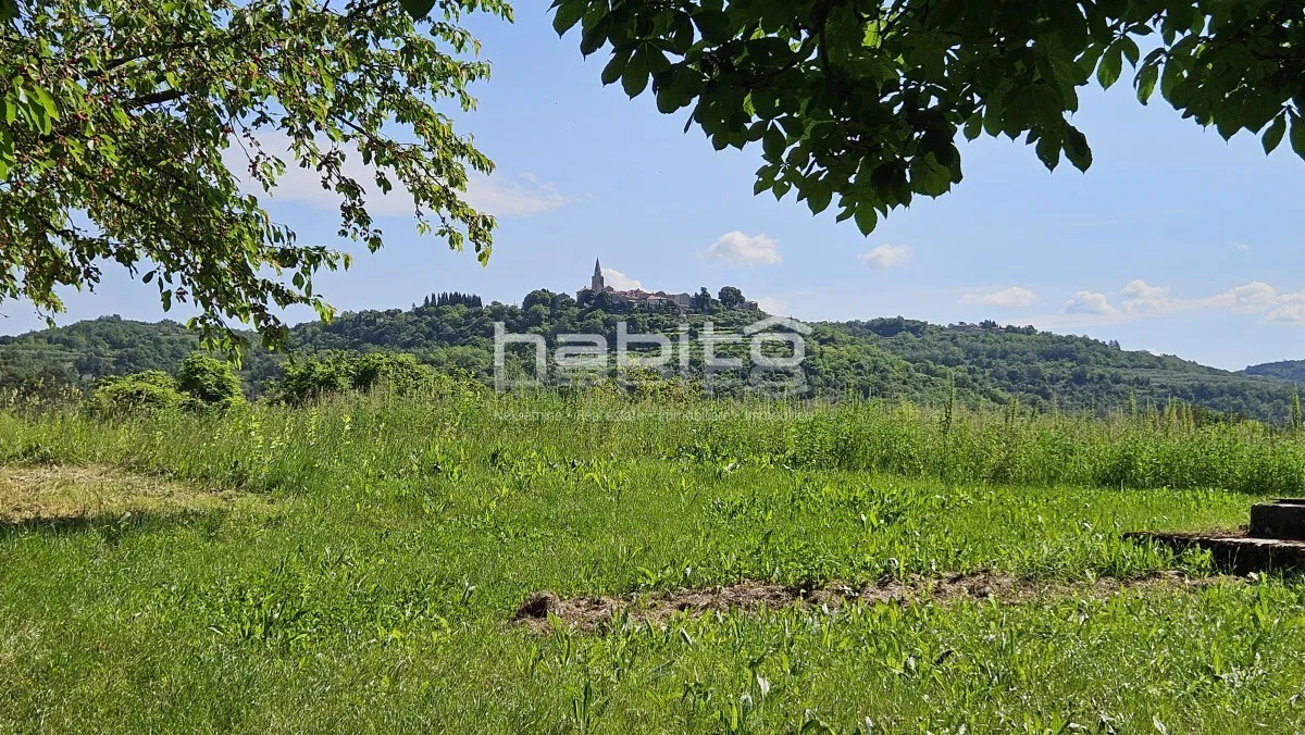 Grožnjan okolica - PRILIKA! Građevinsko zemljište s pogledom na Grožnjan, Motovun i vinograde