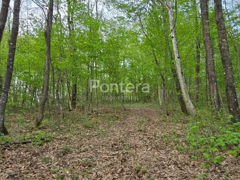 Pozemek Mrzla Vodica, Lokve, 15.534m2