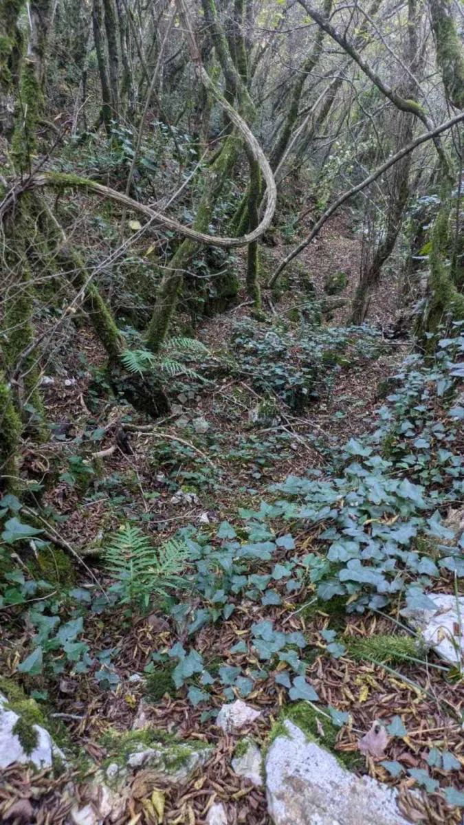 Сельскохозяйственная земля Martinski, Sveta Nedelja, 4.829m2