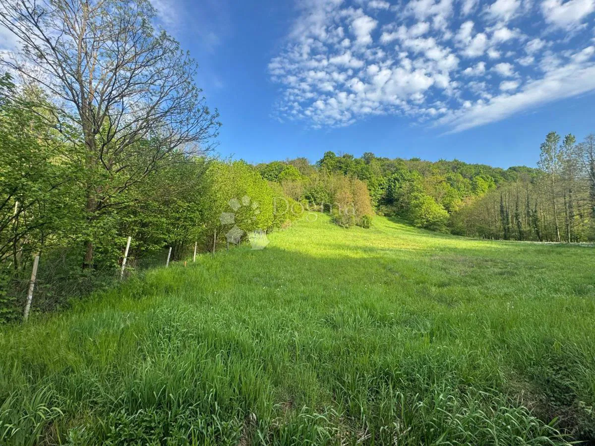 Kmetijsko zemljišče Beletinec, Sveti Ilija, 1.562m2