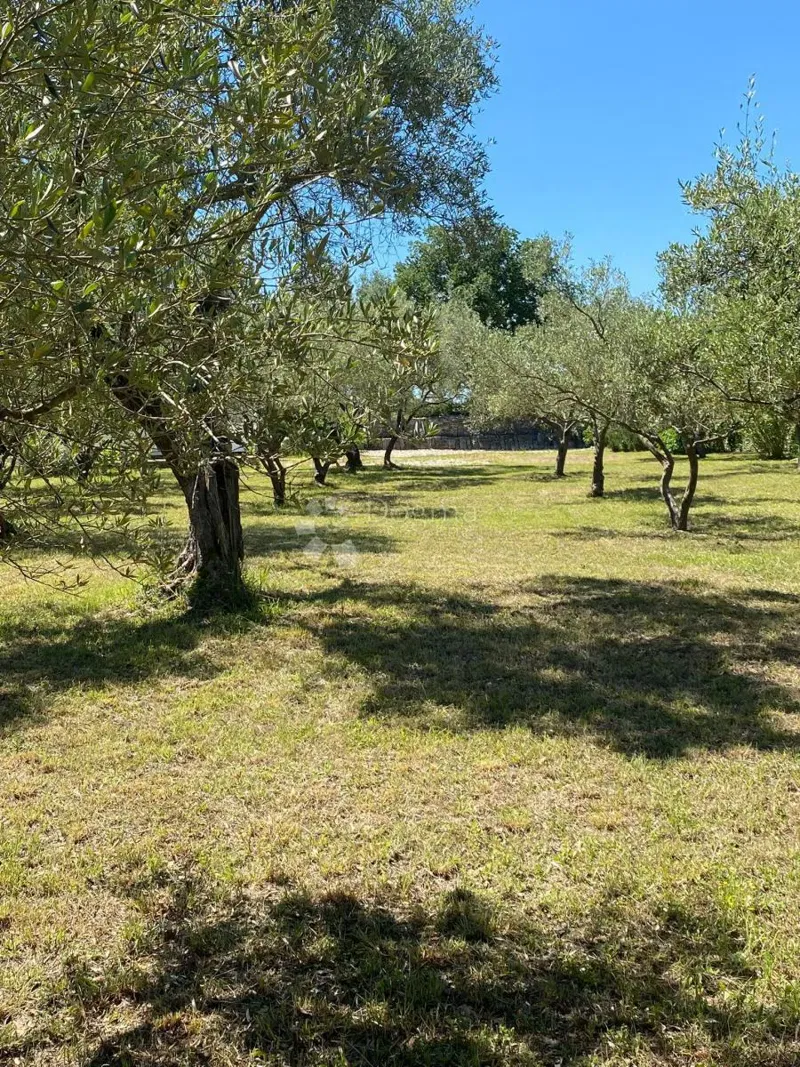 Agricultural land Peroj, Vodnjan, 3.117m2 – 2