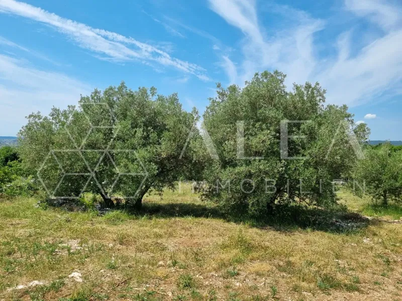 Building Plot with Valid Building Permit and Sea View – Eastern Coast of Istria – 3