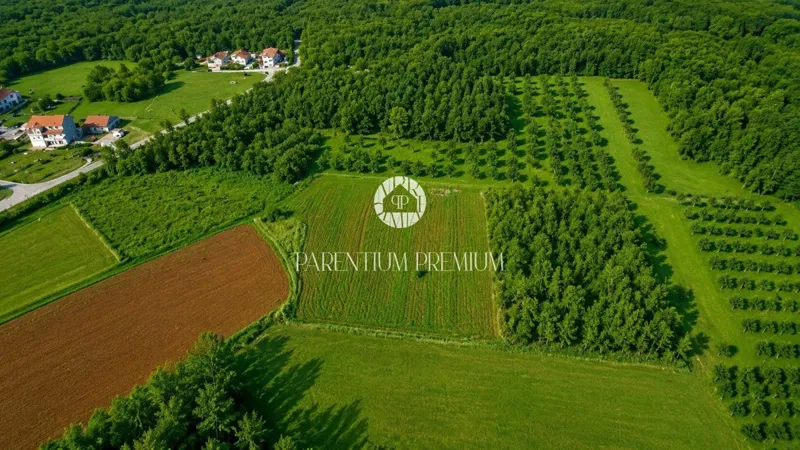 Agricultural land with an olive grove – 3 km from the center of Poreč – 2