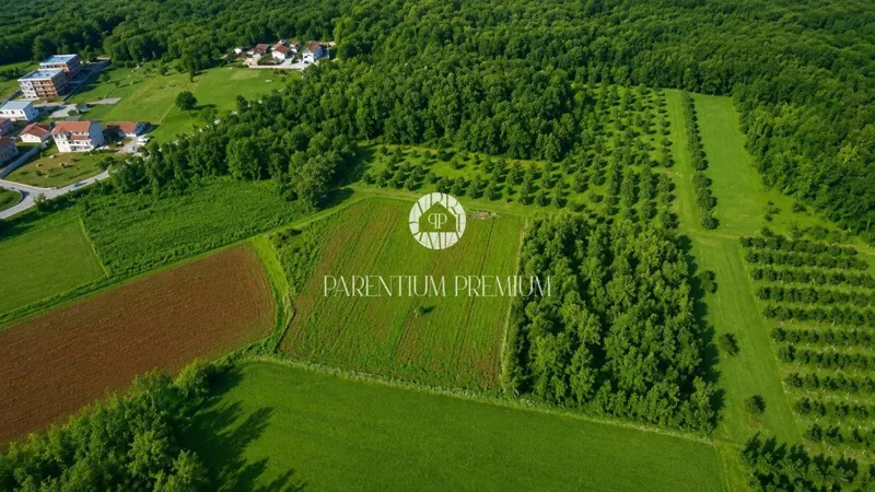 Agricultural land with an olive grove – 3 km from the center of Poreč – 3