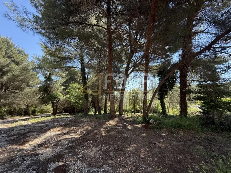 Land Premantura, Medulin, 2.317m2 – 3