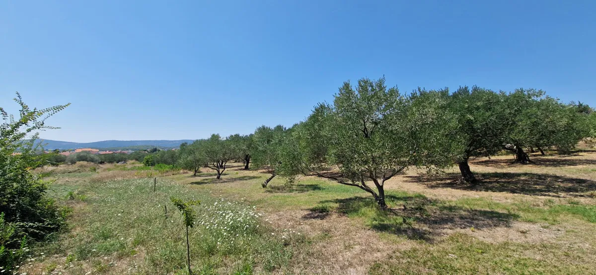 Turanj, građevinsko zemljište(490m2) s pogledom na more