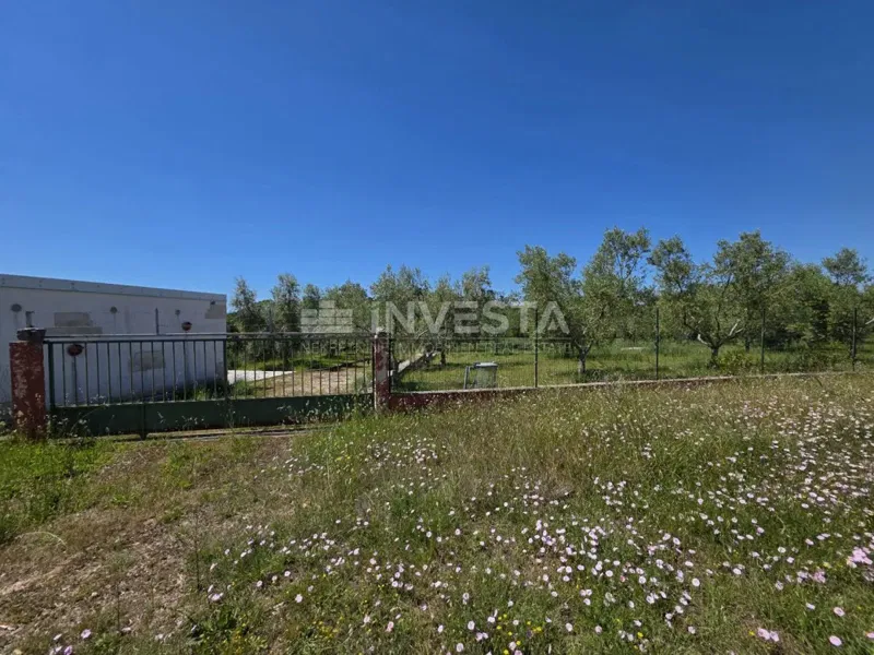 Barbariga – 4,000 m² estate with an olive grove, legalized buildings and infrastructure – 3